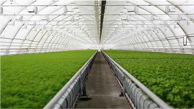 Agro-Allied Services